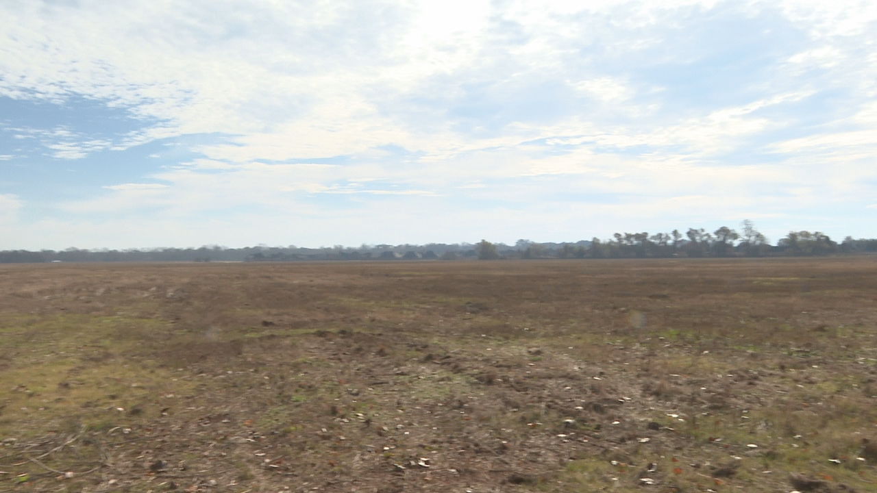 Future Willow Chute Bayou subdivision off of Airline Dr. in Bossier Parish.jpg